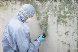 Best Real Estate Mold Inspection  in USA